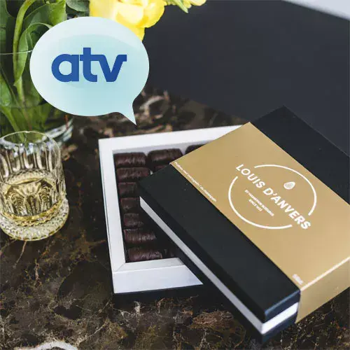 Massepain Sleeubus, Louis D'anvers