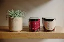 260905_LDAaankondigingPop-Uplowres(22of30).webp